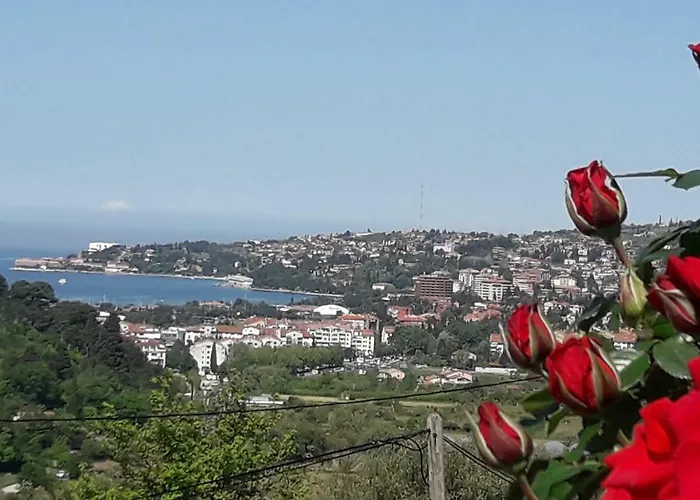 Apartma Sea View * Portorož