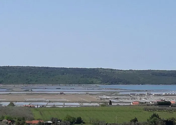 Lejlighed Apartma Sea View *